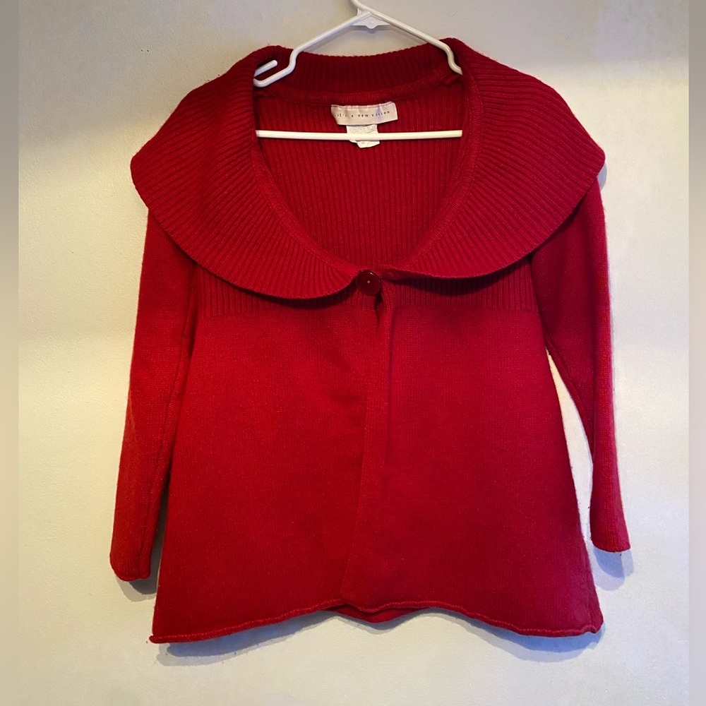It's a new vision, Red Sweater / Festive Vest - Medium